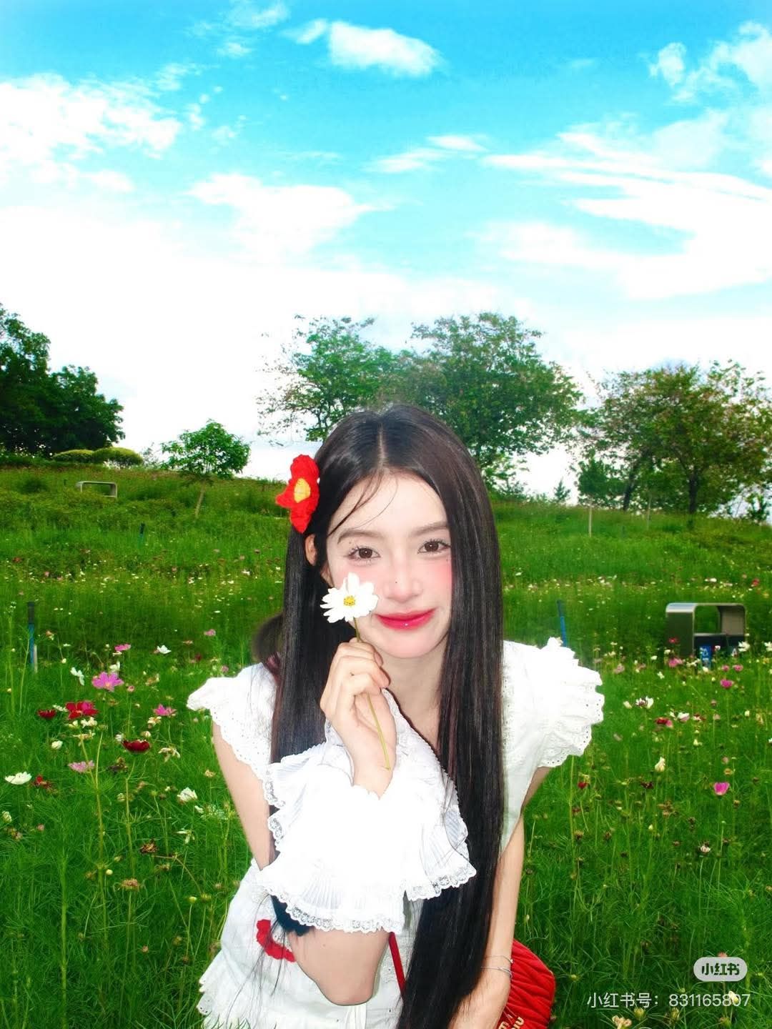 Bí Mật Trong Bảng Điểm Thi Đại Học